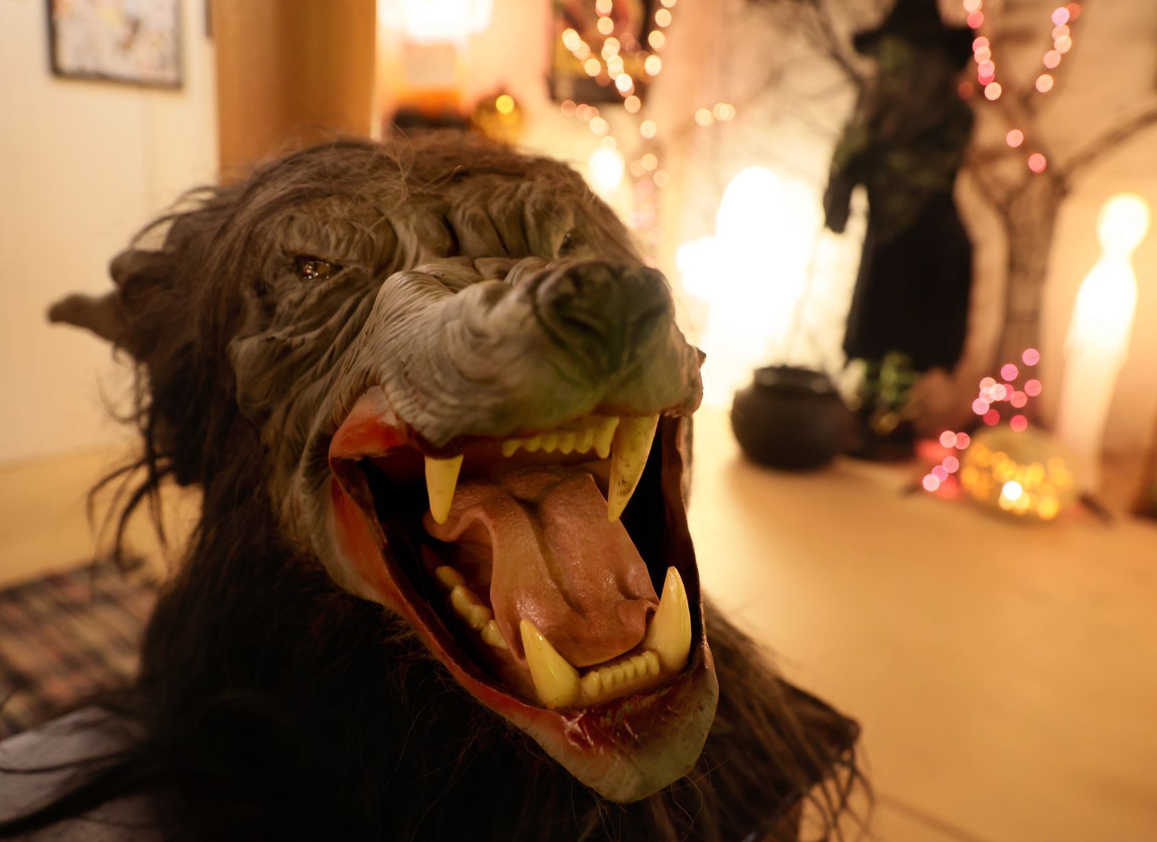 Halloween enthusiast keeps permanent themed display